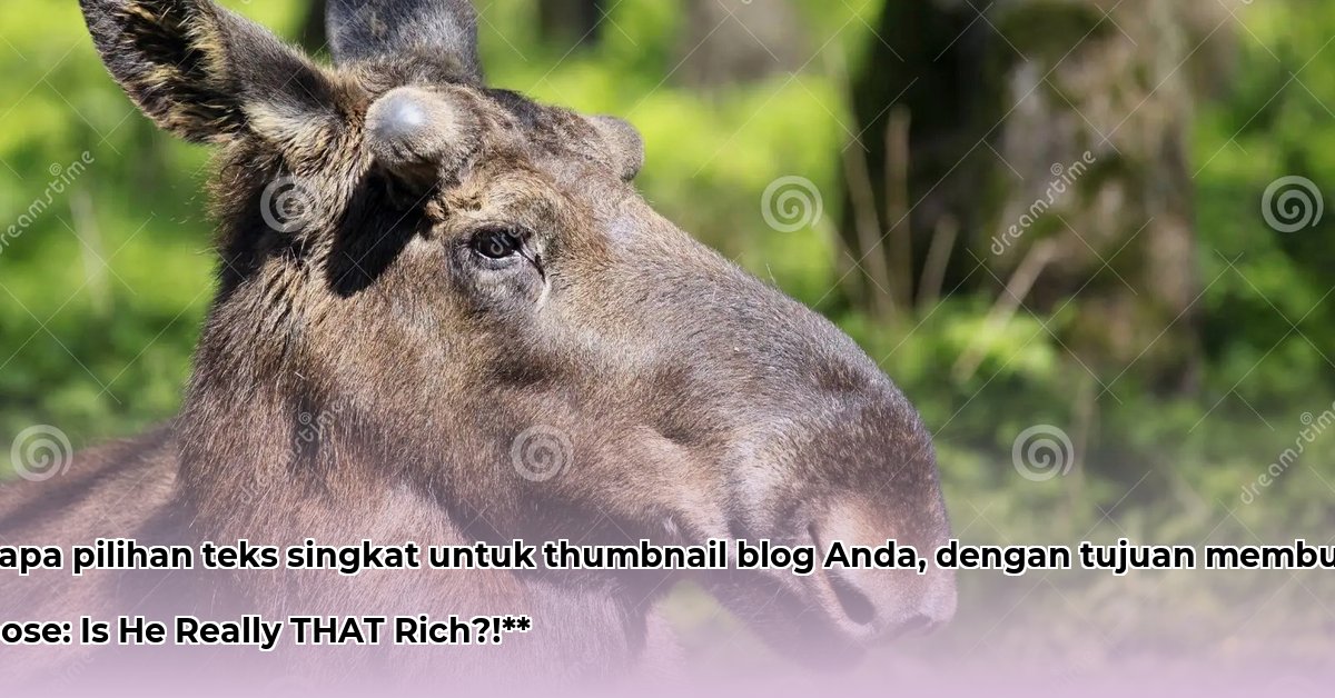 young-moose-net-worth